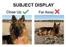 Load image into Gallery viewer, Portrait of One Pet