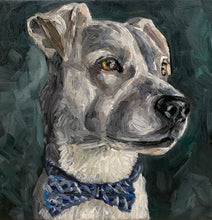 Load image into Gallery viewer, Portrait of One Pet