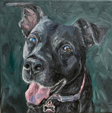 Load image into Gallery viewer, Portrait of One Pet