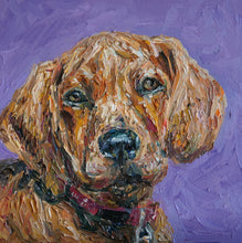 Load image into Gallery viewer, Portrait of One Pet